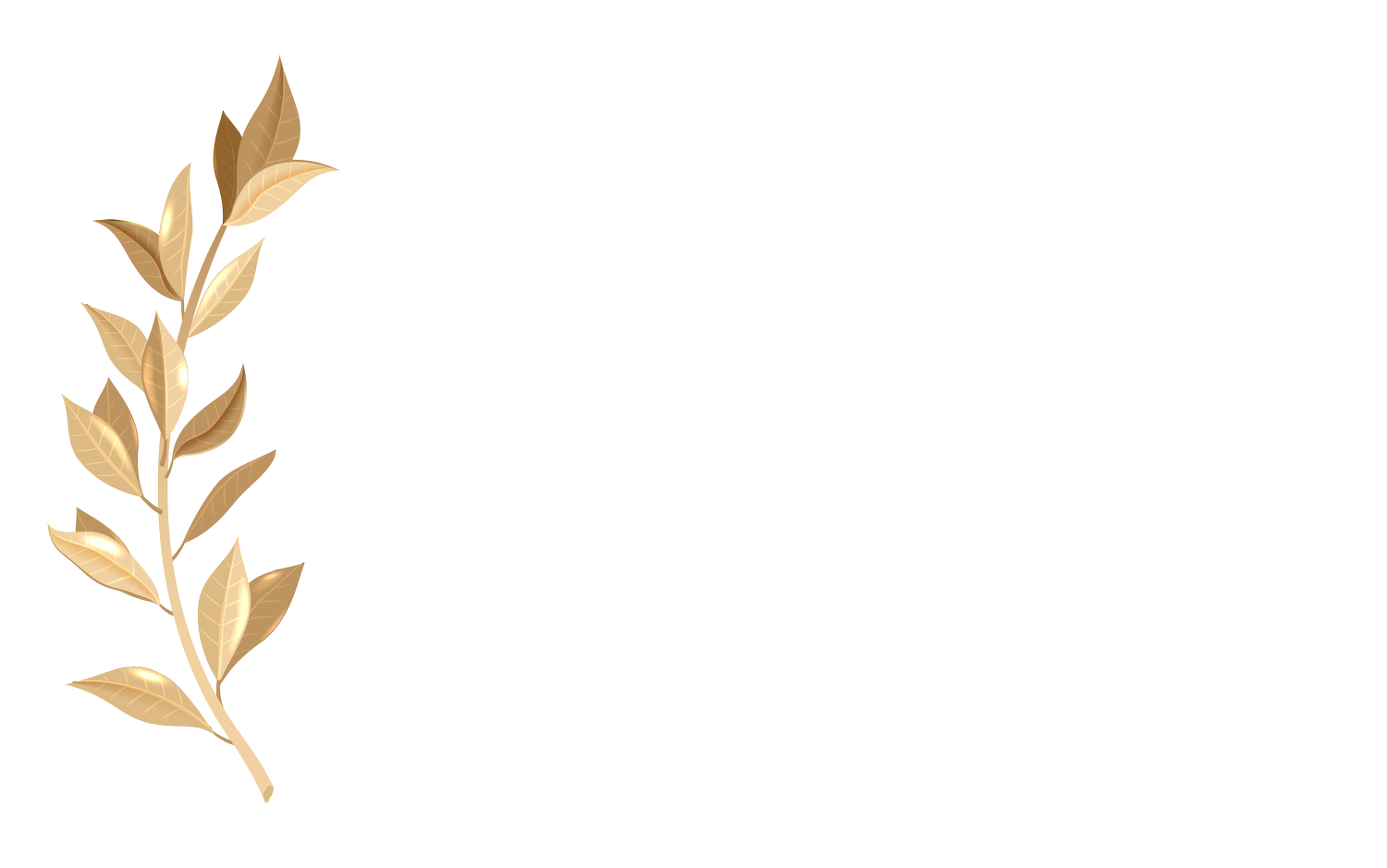 NACFB Commercial Lender Awards Logo